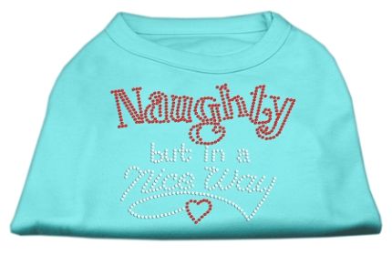 Naughty But Nice Rhinestone Shirts