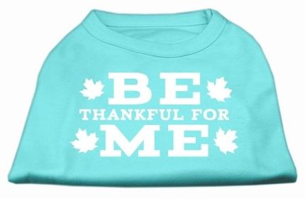 Be Thankful for Me Screen Print Shirt