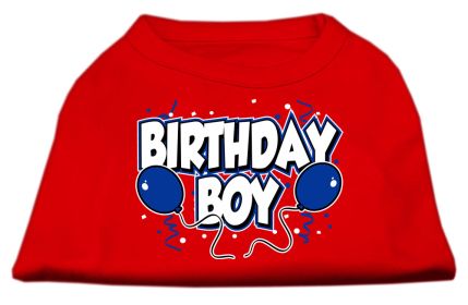 Birthday Boy Screen Print Shirts (Option: Red XXXL)