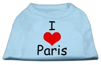 I Love Paris Screen Print Shirts (Option: Baby Blue XXXL)