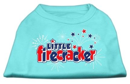 Little Firecracker Screen Print Shirts (Option: Aqua XXL)