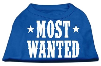 Most Wanted Screen Print Shirt (Option: Blue XXL)