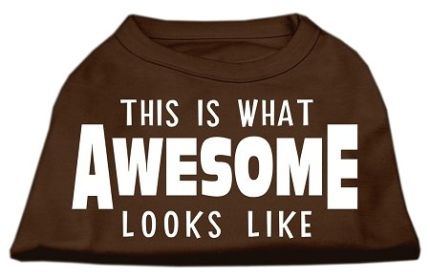 This is What Awesome Looks Like Dog Shirt (Option: Brown XS)