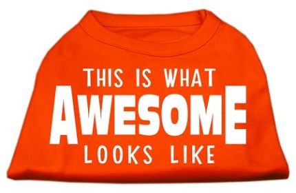 This is What Awesome Looks Like Dog Shirt (Option: Orange XS)