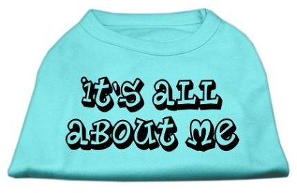 It's All About Me Screen Print Shirts (Option: Aqua XS)