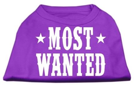 Most Wanted Screen Print Shirt (Option: Purple XS)