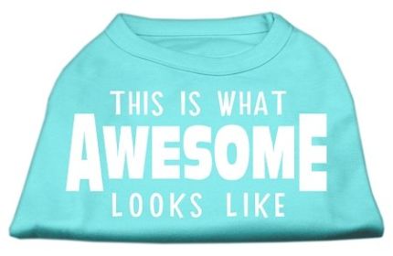 This is What Awesome Looks Like Dog Shirt (Option: Aqua XL)