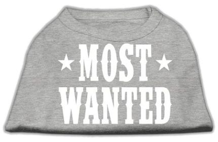 Most Wanted Screen Print Shirt (Option: Grey Med)