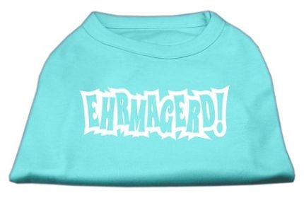 Ehrmagerd Screen Print Shirt (Option: Aqua XL)