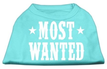 Most Wanted Screen Print Shirt (Option: Aqua XS)