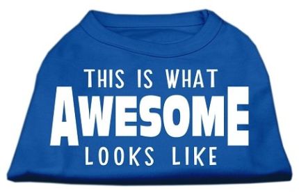 This is What Awesome Looks Like Dog Shirt (Option: Blue Lg)