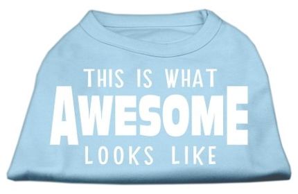 This is What Awesome Looks Like Dog Shirt (Option: Baby Blue Lg)